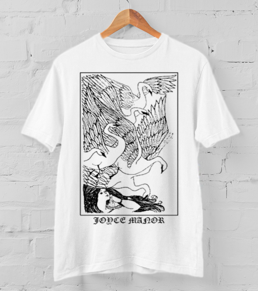Joyce Manor Turtle Goose Girl Peaceful Interaction T-Shirt