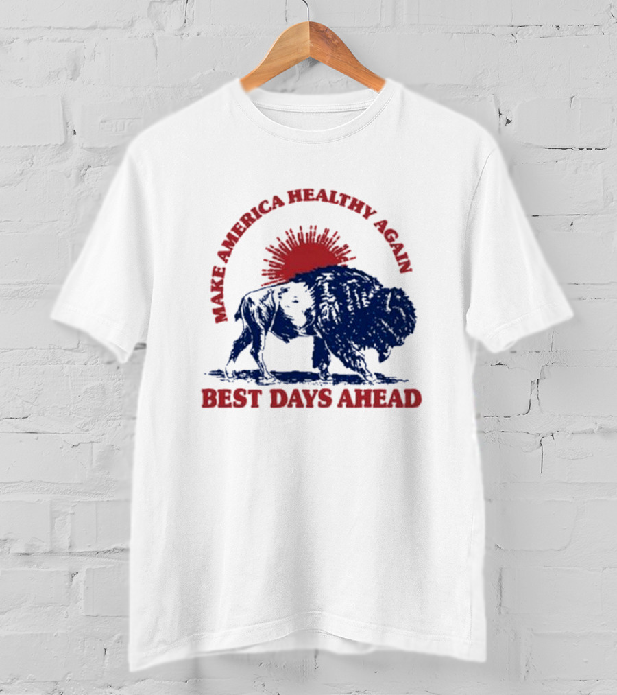 Make America Healthy Again Best Days Ahead Buffalo Bison Sunburst T-Shirt