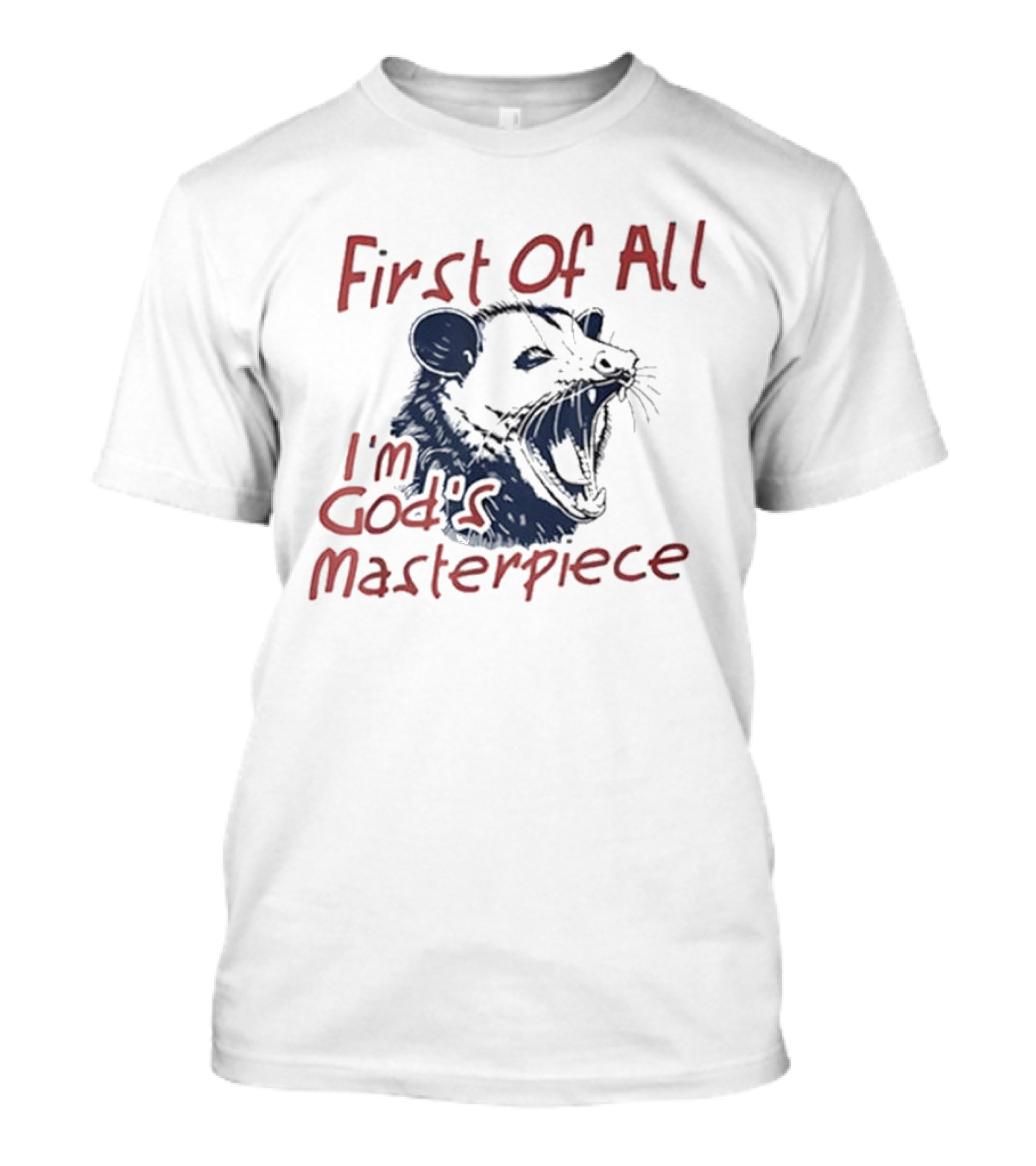 "Raccoon First Of All I'm God's Masterpiece" T-Shirt