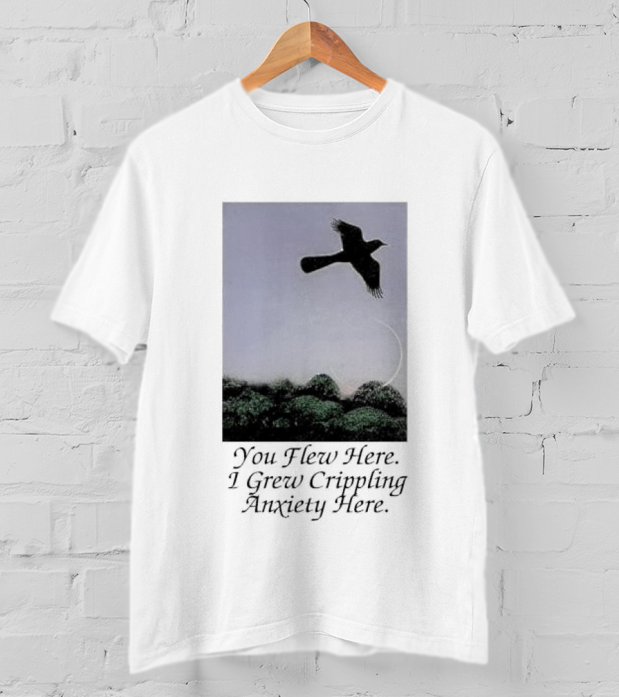 You Flew Here I Grew Crippling Anxiety Here Plane And Nature Scene T-Shirt