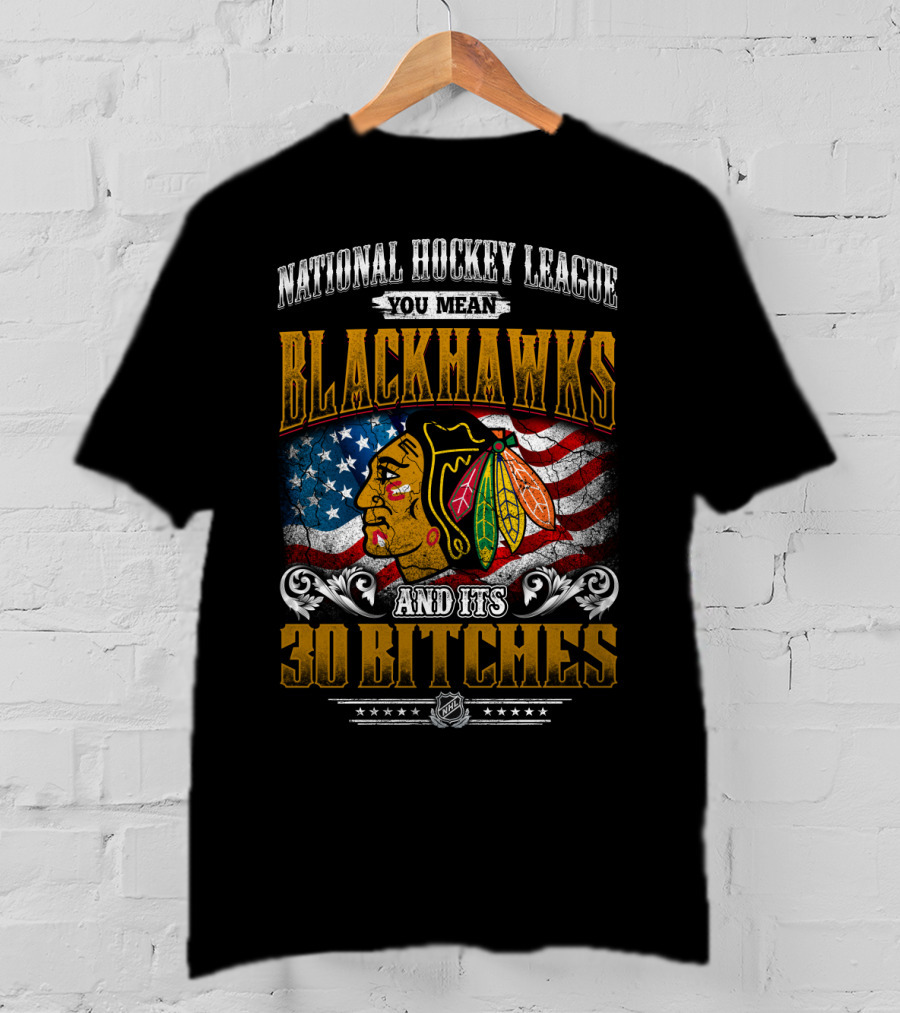 National Hockey League You Mean Blackhawks And Its 30 Bitches T-Shirt