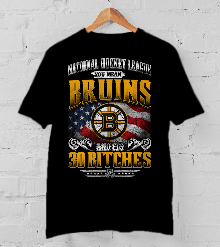 Bruins National Hockey League You Mean And Its 30 Bitches T-Shirt