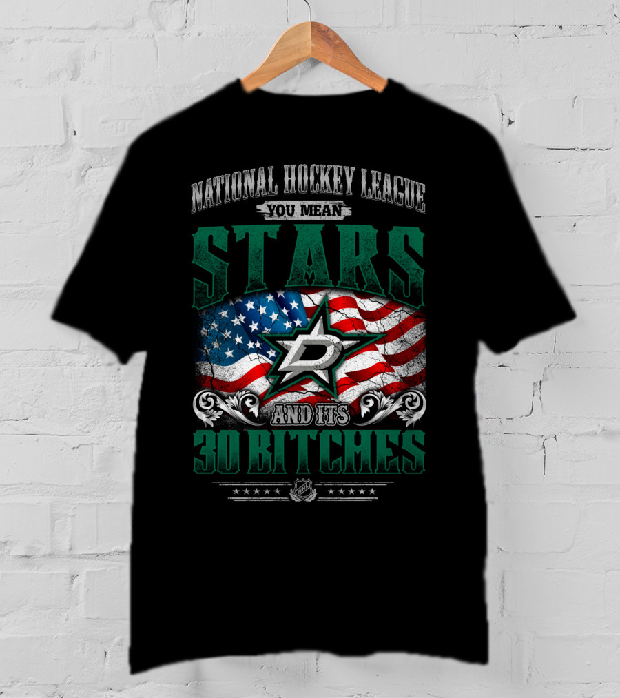 National Hockey League You Mean Dallas Stars And Its 30 Bitches T-Shirt