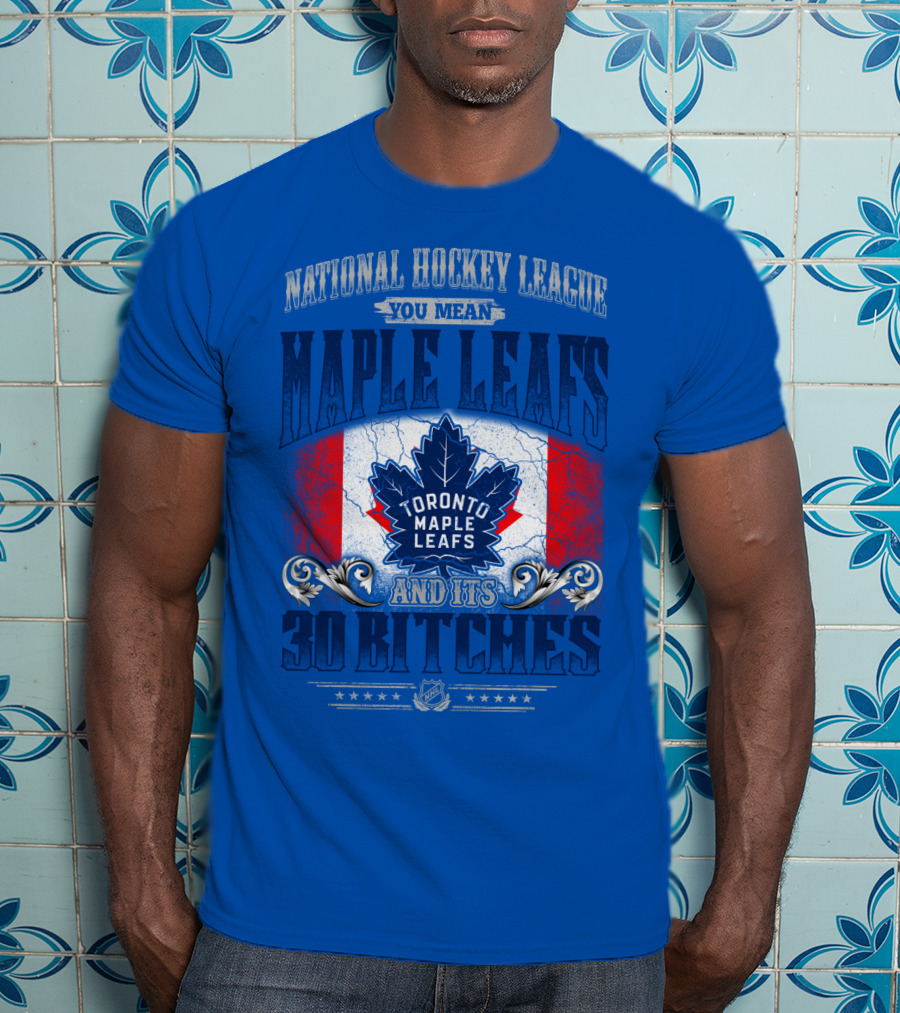 National Hockey League You Mean Toronto Maple Leafs And Its 30 Bitches T-Shirt