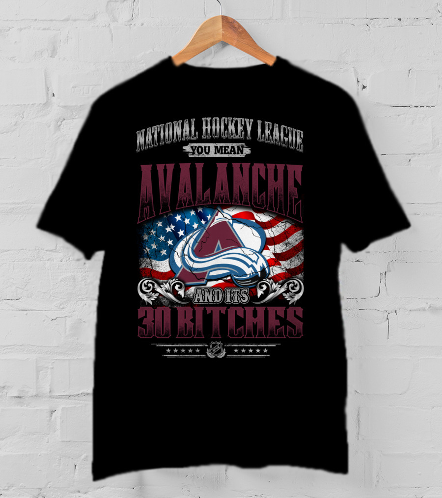 National Hockey League You Mean Avalanche And Its 30 Bitches T-Shirt
