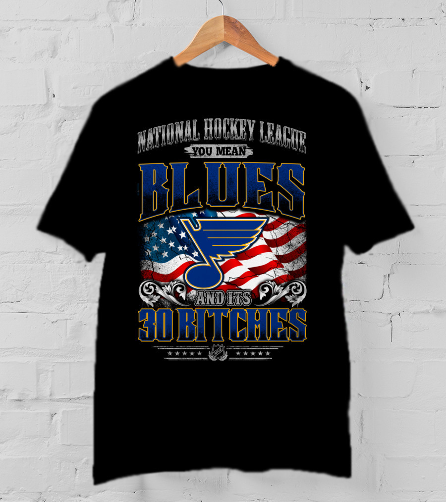 National Hockey League You Mean Blues And Its 30 Bitches T-Shirt