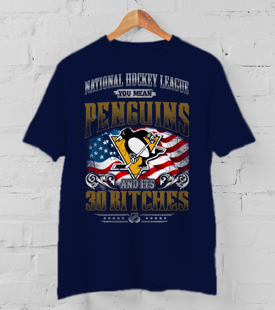 National Hockey League You Mean Penguins And Its 30 Bitches T-Shirt