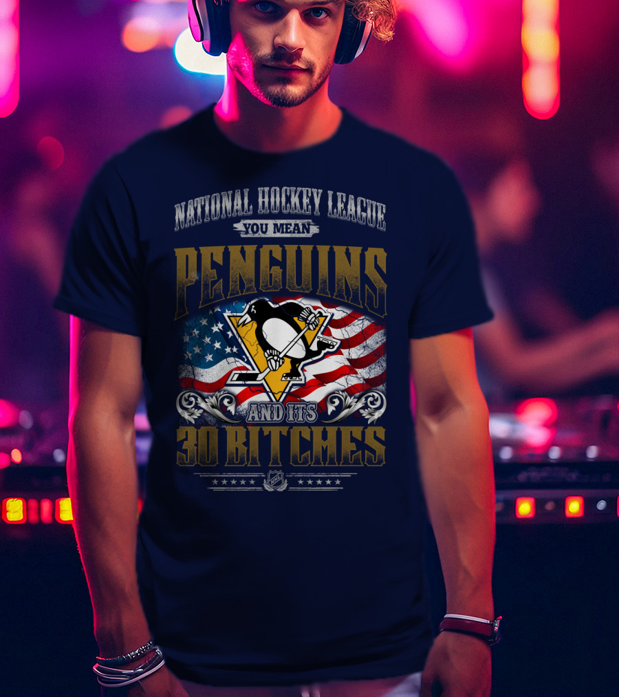 National Hockey League You Mean Penguins And Its 30 Bitches T-Shirt
