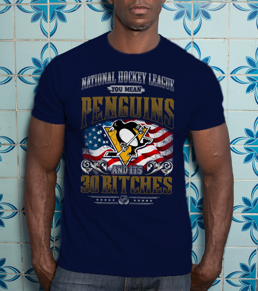 National Hockey League You Mean Penguins And Its 30 Bitches T-Shirt