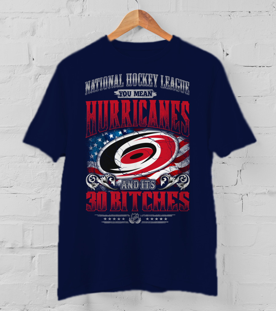 National Hockey League You Mean Hurricanes And Its 30 Bitches T-Shirt