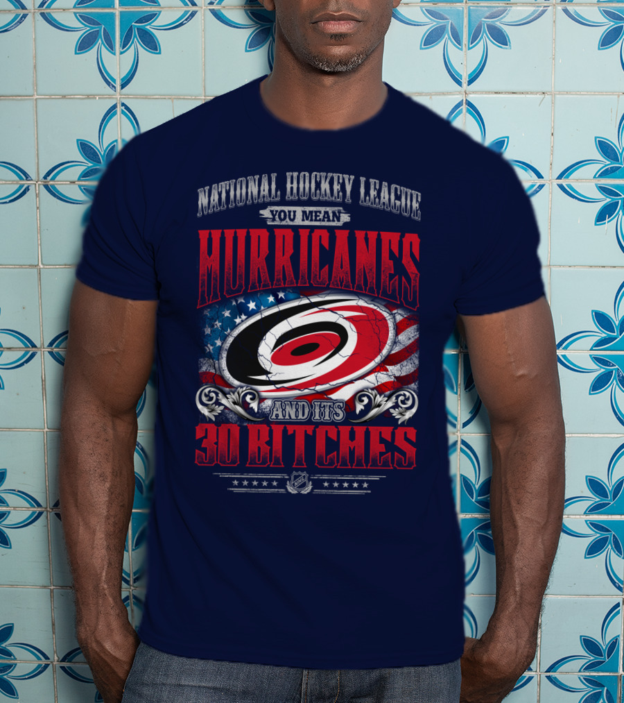 National Hockey League You Mean Hurricanes And Its 30 Bitches T-Shirt