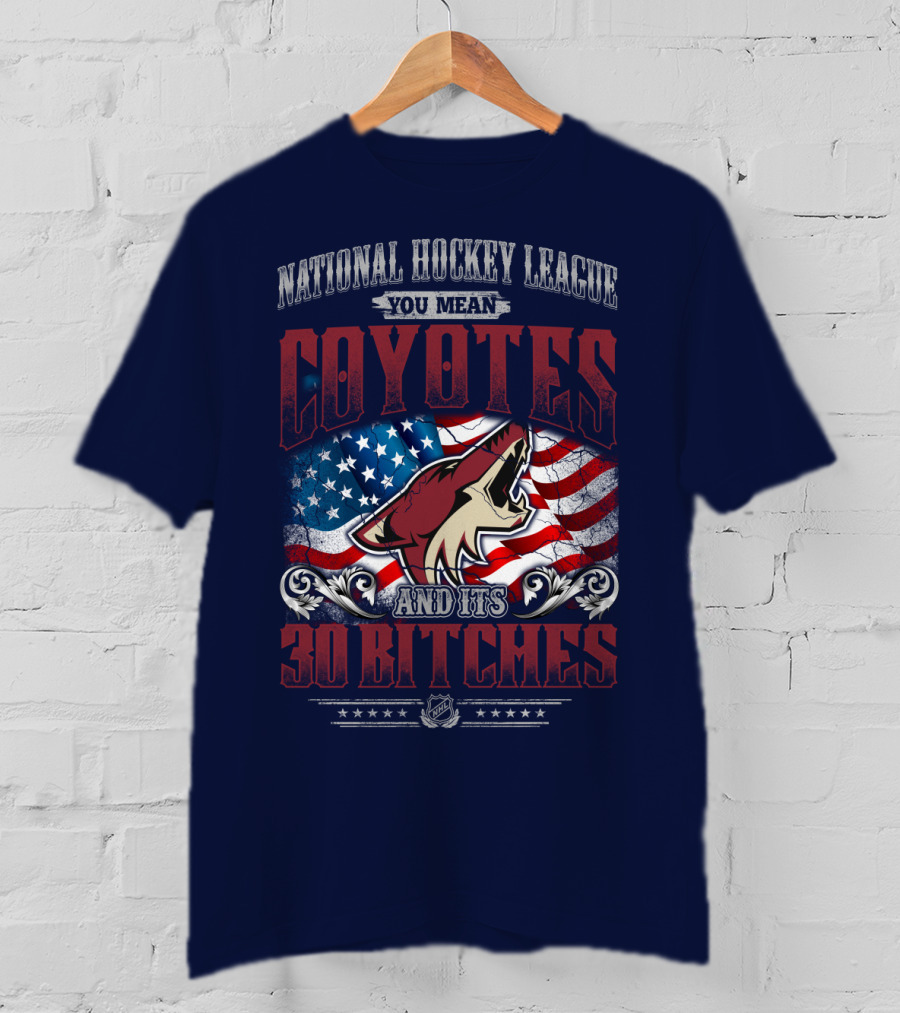 National Hockey League Coyotes And Its 30 Bitches American Flag T-Shirt