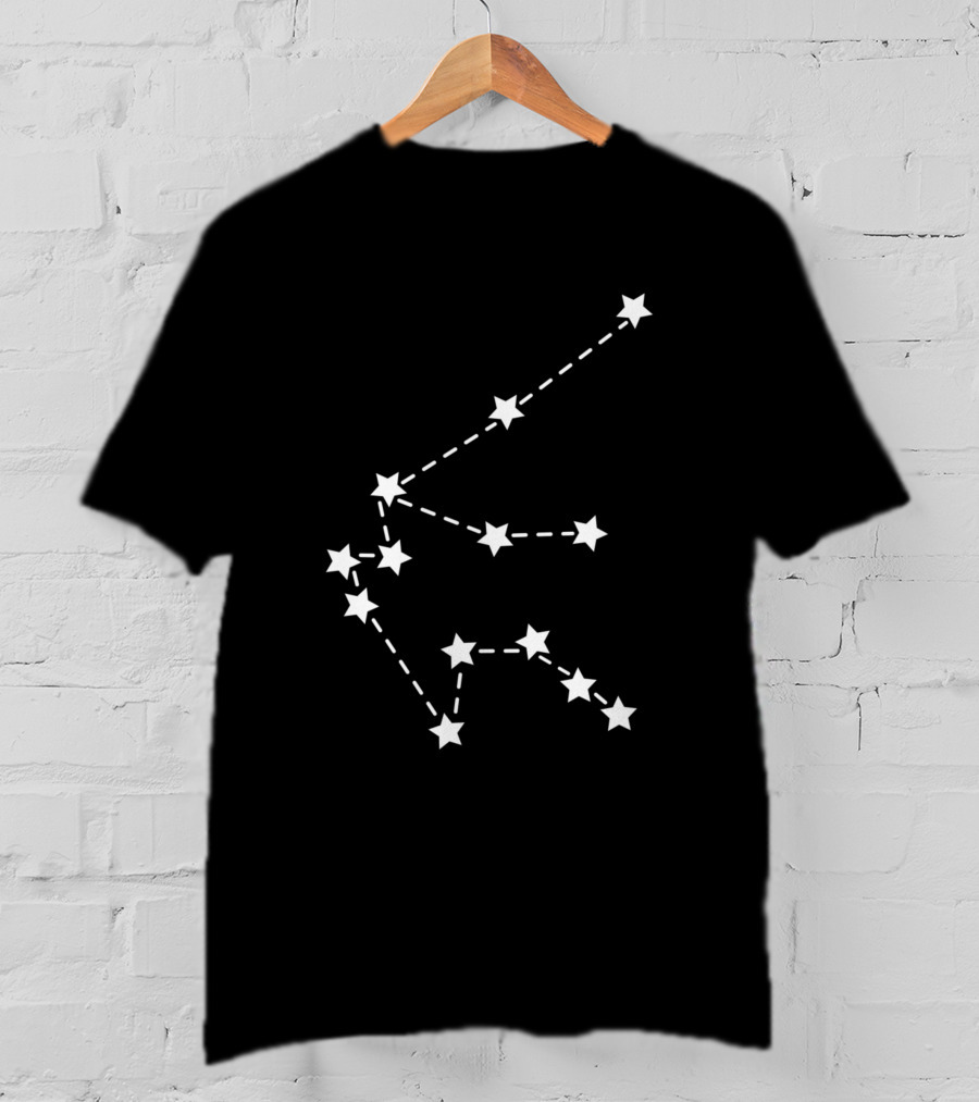 Aquarius Constellation Stars White 495 T-Shirt