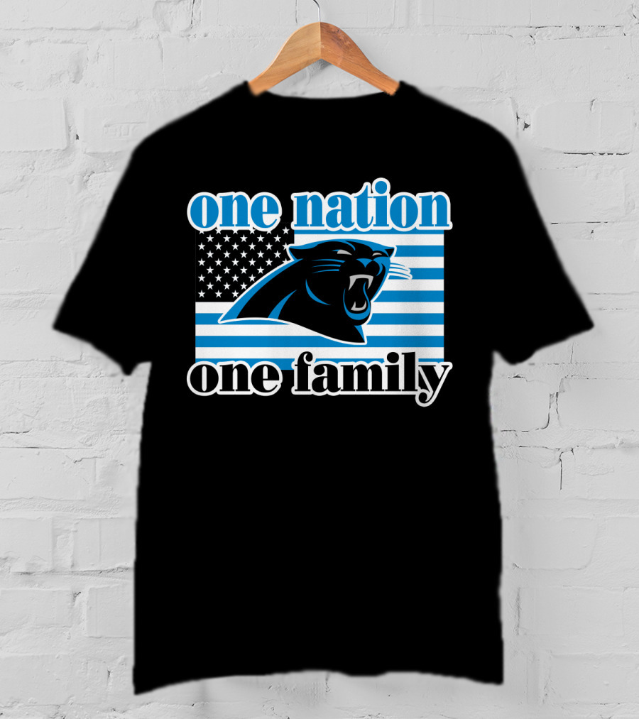 One Nation One Family Carolina Panthers 28 T-Shirt