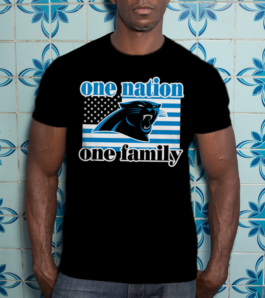One Nation One Family Carolina Panthers 28 T-Shirt