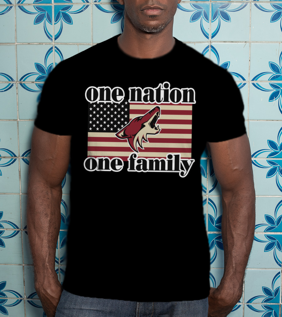 One Nation One Family Arizona Coyotes American Flag T-Shirt