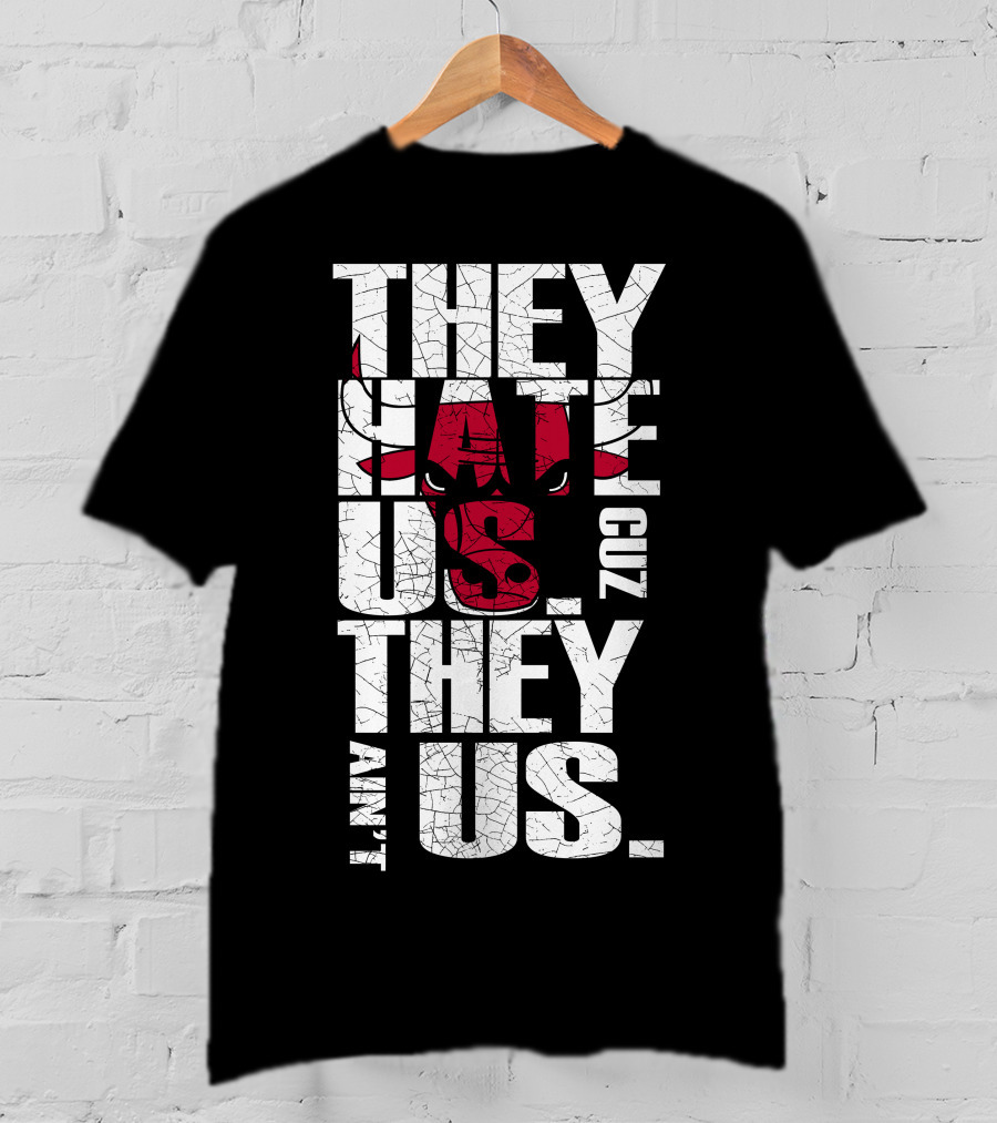 They Hate Us Cuz They Ain't Us Chicago Bulls T-Shirt