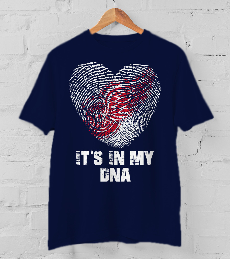 Detroit Redwings It's In My Dna T-Shirt