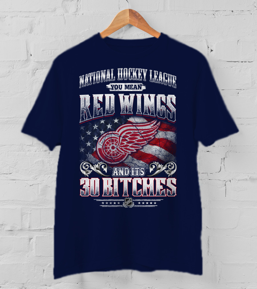 National Hockey League You Mean Red Wings And Its 30 Bitches T-Shirt