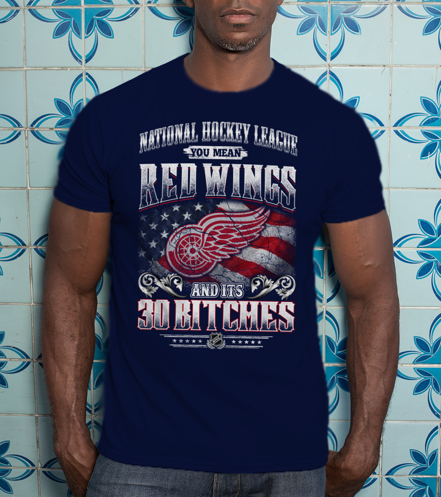 National Hockey League You Mean Red Wings And Its 30 Bitches T-Shirt