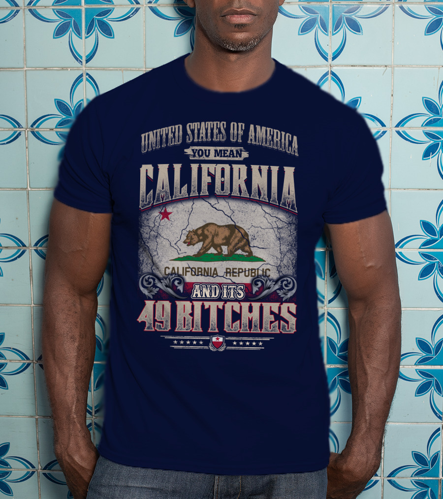 United States Of America You Mean California Republic And Its 49 Bitches T-Shirt