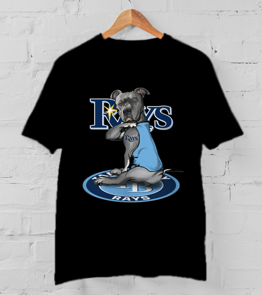 Rays Dog With Tampa Bay Rays Logo And 27-Tampa Bay Rays Circle T-Shirt