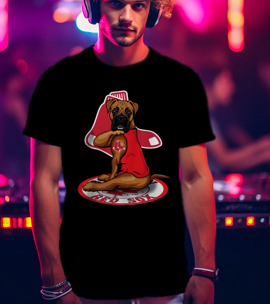 Boston Red Sox Dog Sitting On Iconic Sock T-Shirt