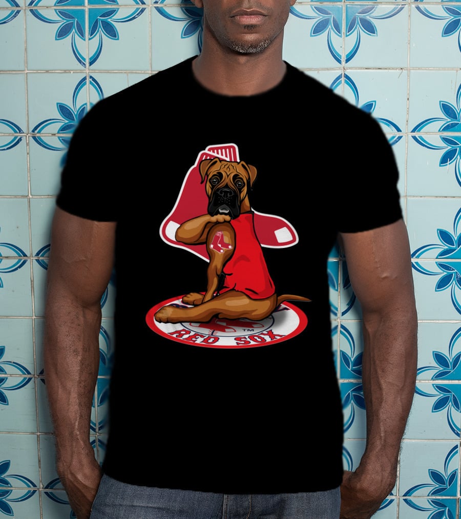 Boston Red Sox Dog Sitting On Iconic Sock T-Shirt