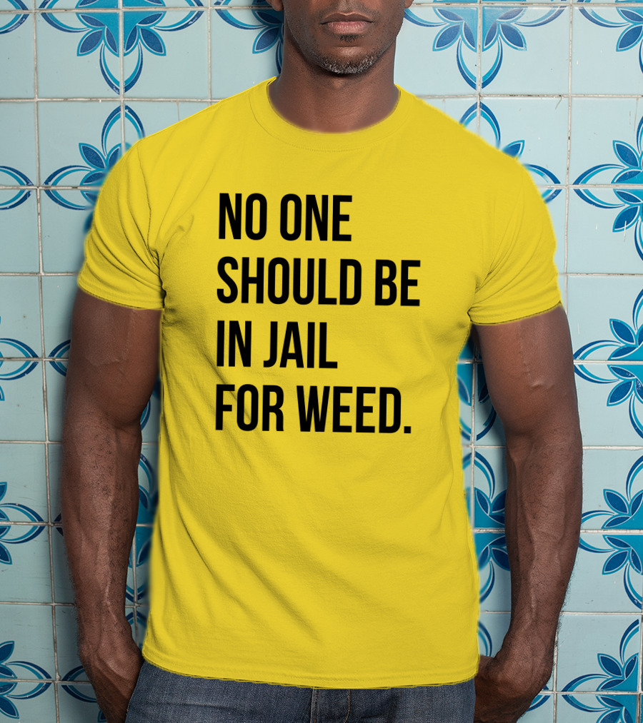 No One Should Be In Jail For Weed Gisele Barreto Fetterman We Go High Shop T-Shirt