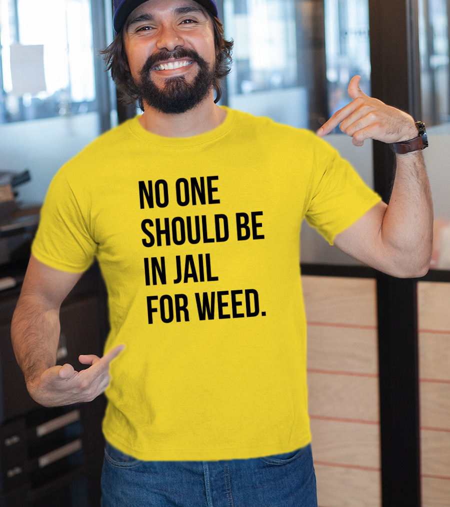 No One Should Be In Jail For Weed Gisele Barreto Fetterman We Go High Shop T-Shirt