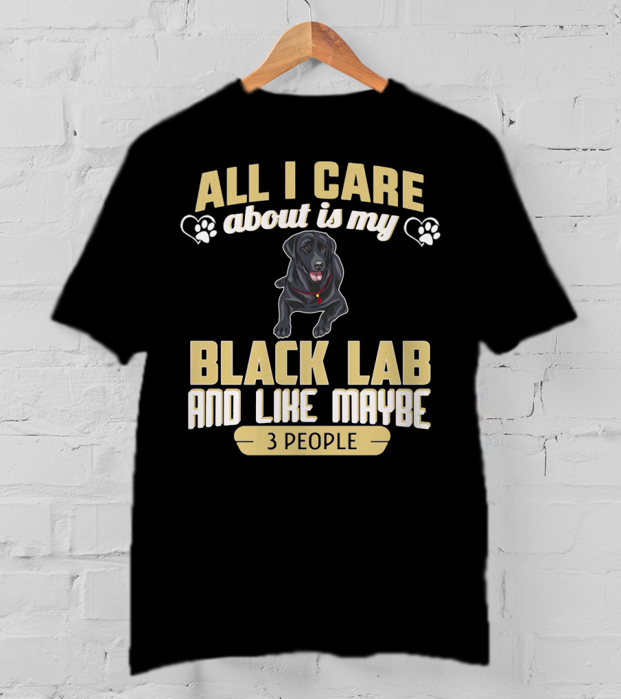 All I Care About Is My Black Lab And Like Maybe 3 People T-Shirt