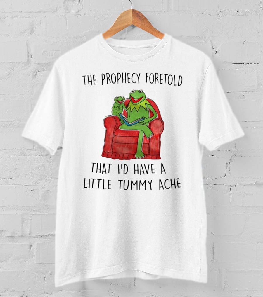 The Prophecy Foretold That I'd Have A Little Tummy Ache - Frog Reading On Red Armchair T-Shirt