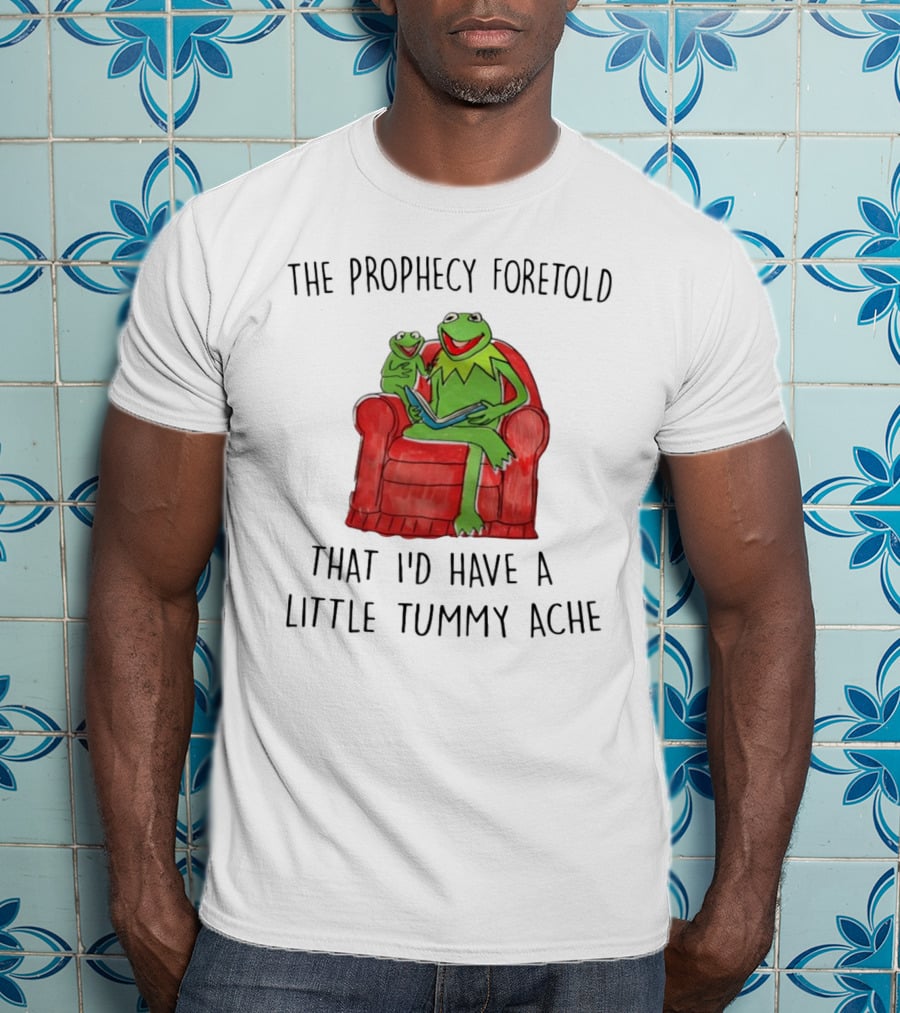 The Prophecy Foretold That I'd Have A Little Tummy Ache - Frog Reading On Red Armchair T-Shirt