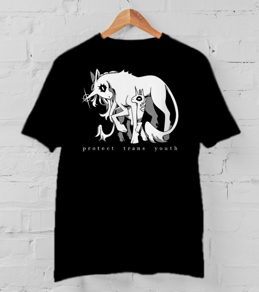 Protect Trans Youth Unicorn Support T-Shirt