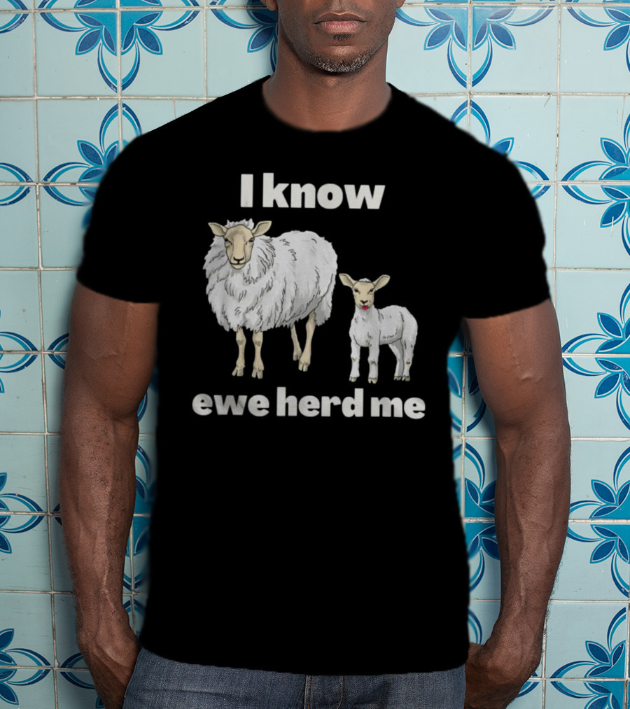 I Know Ewe Herd Me Funny Sheep Farmer Fathers Day Dad Jokes T-Shirt