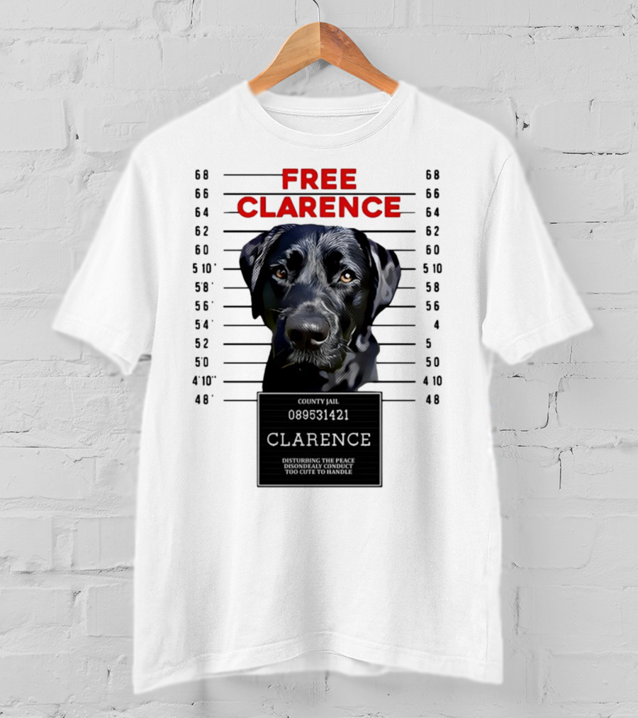 Free Clarence County Jail Disturbing The Peace Disorderly Conduct Too Cute To Handle T-Shirt