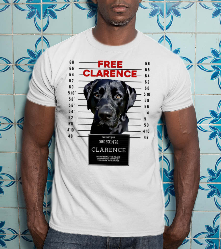 Free Clarence County Jail Disturbing The Peace Disorderly Conduct Too Cute To Handle T-Shirt
