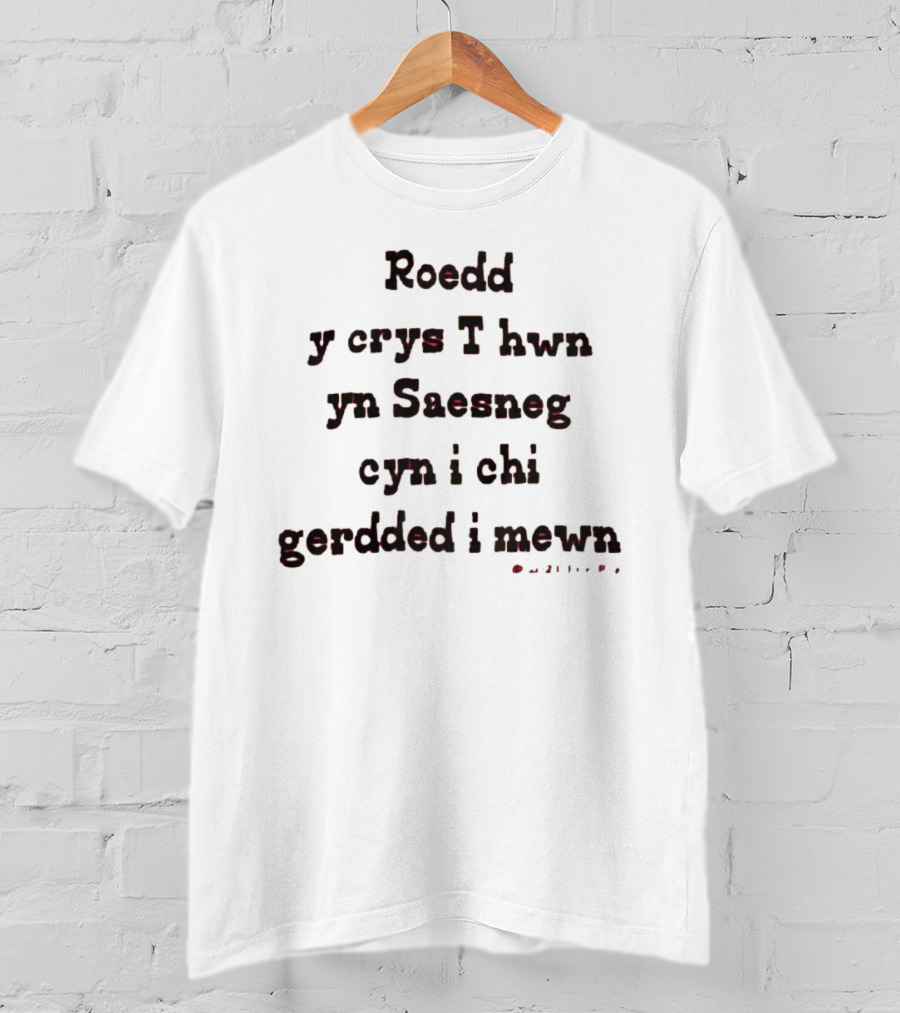 Roedd Y Crys T Hwn Yn Saesneg Cyn I Chi Gerdded I Mewn T-Shirt