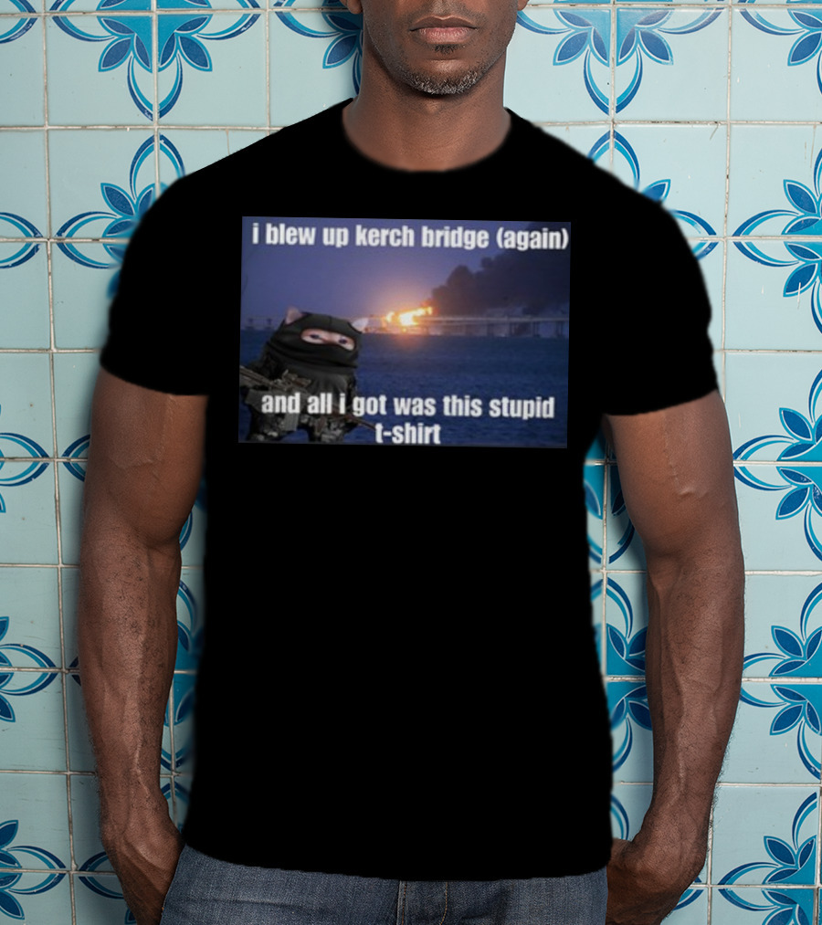 I Blew Up Kerch Bridge Again All I Got Was This Stupid T-Shirt Cat Soldier Explosion T-Shirt