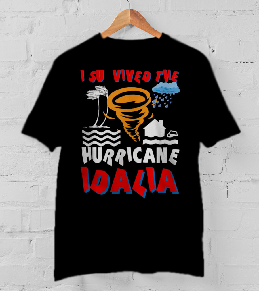 I Survived The Hurricane Idalia Tornado Palm Trees Rain House Car Waves T-Shirt