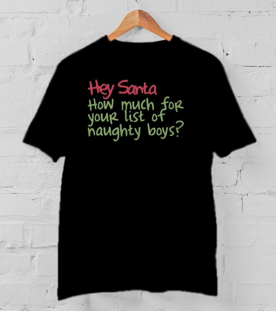 Hey Santa How Much For Your List Of Naughty Boys T-Shirt