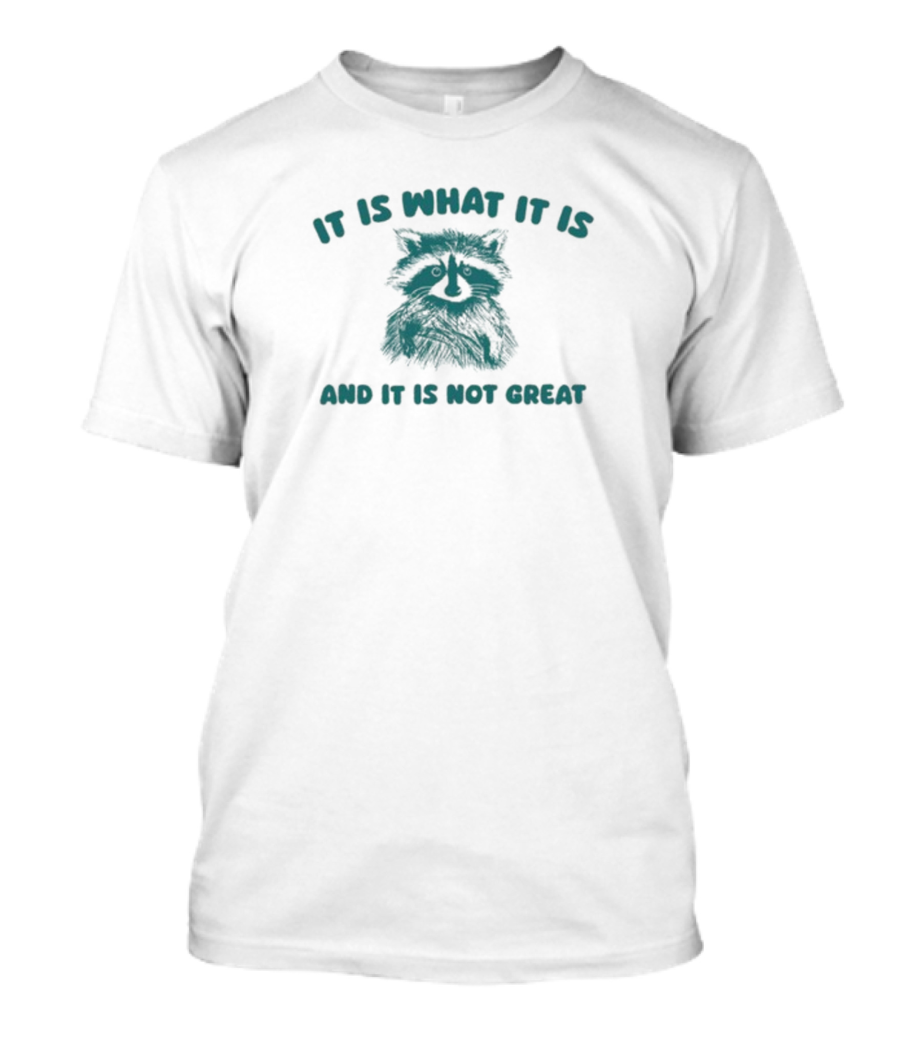 It Is What It Is And It Is Not Great Raccoon T-Shirt