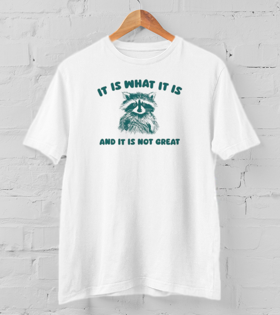 It Is What It Is And It Is Not Great Raccoon T-Shirt