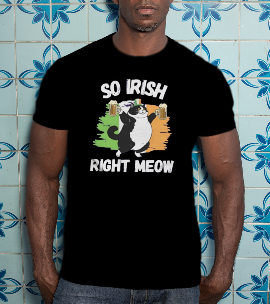 So Irish Right Meow Cat Holding Beer With Irish Flag In Background T-Shirt