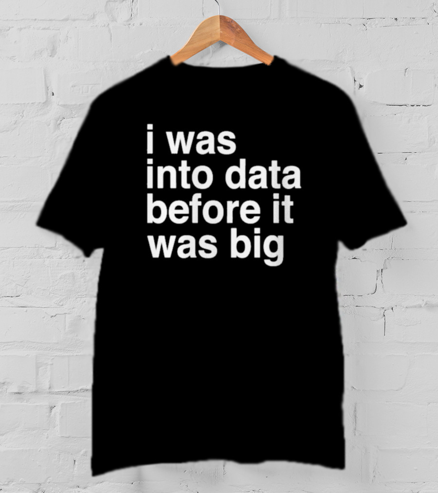 I Was Into Data Before It Was Big T-Shirt