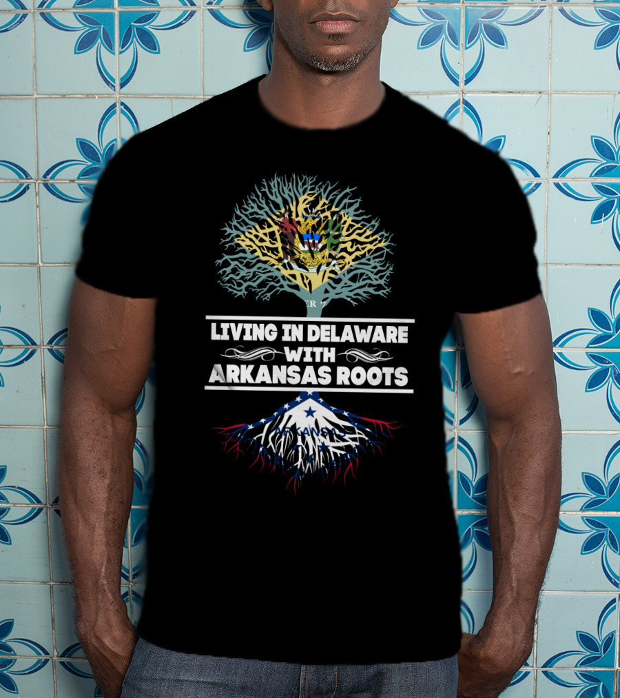 Living In Delaware With Arkansas Roots Tree Design Featuring Intertwined State Flags T-Shirt