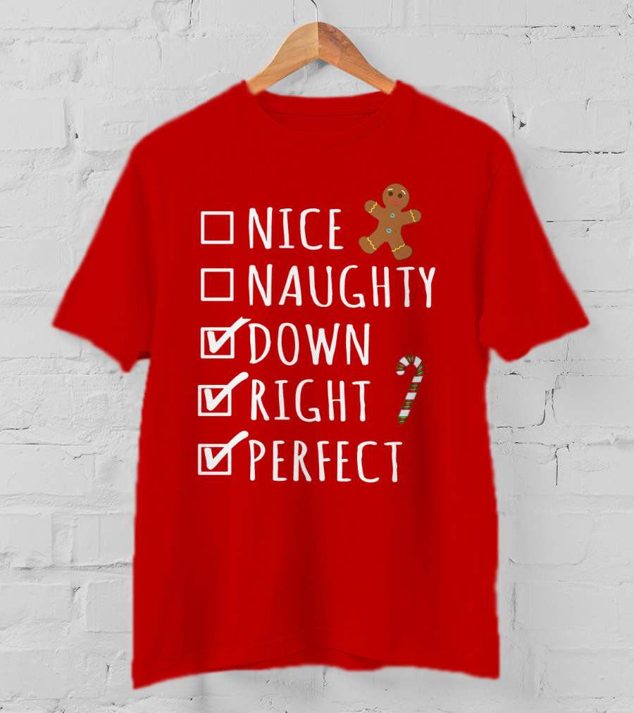 Nice Naughty Down Right Perfect Gingerbread Candy Cane Holiday Checklist T-Shirt