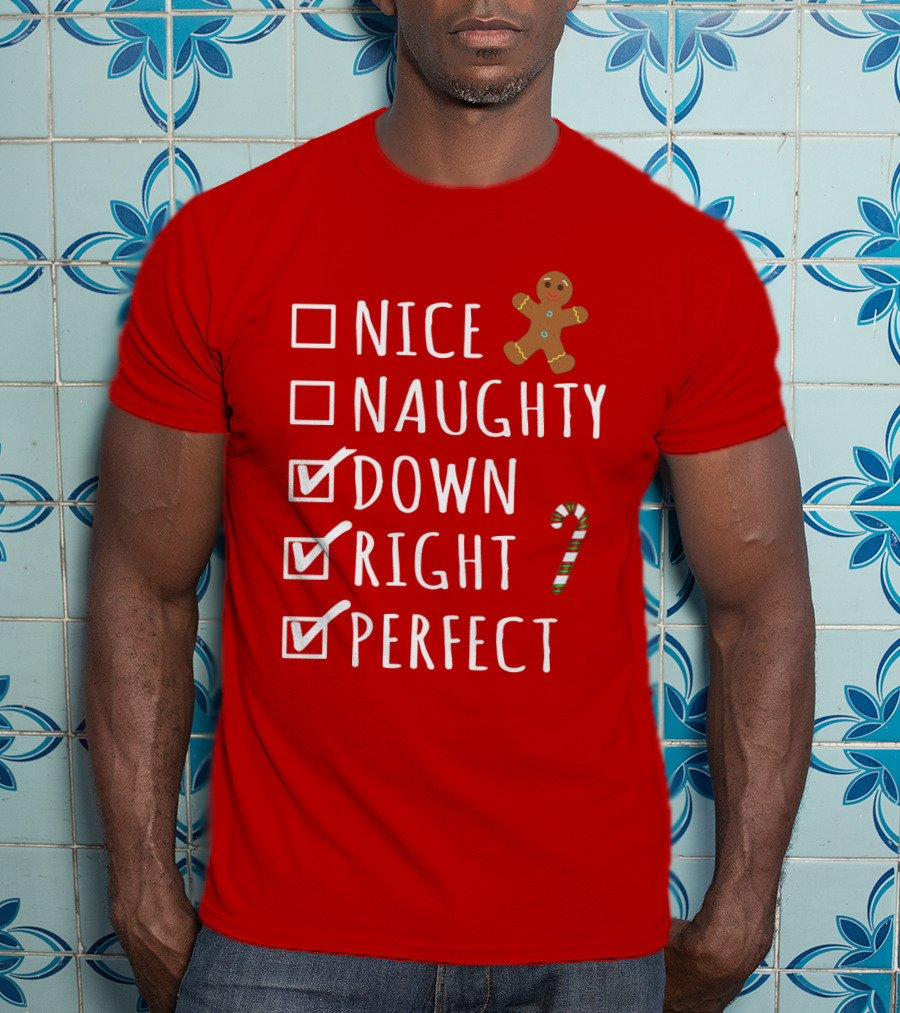 Nice Naughty Down Right Perfect Gingerbread Candy Cane Holiday Checklist T-Shirt