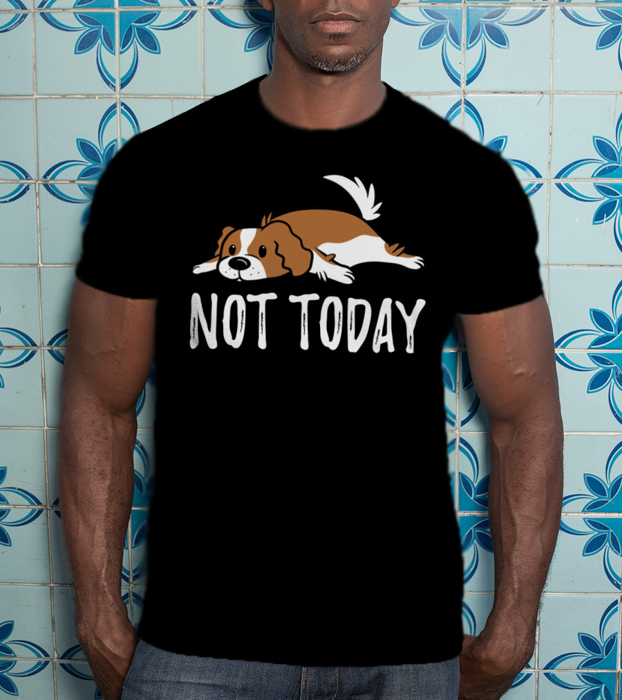 Cavalier King Charles Dog Not Today Relaxed Mood T-Shirt