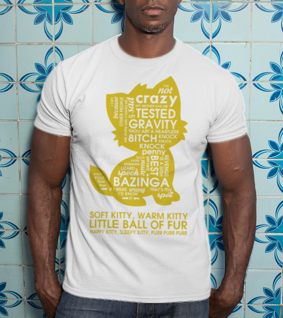 Soft Kitty, Warm Kitty, Crazy Kitty, Tested Gravity, Bazinga Little Ball Of Fur T-Shirt
